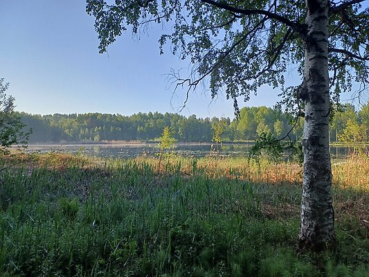 Sticksjön i Granloholm, foto Ulrika Sjöberg.