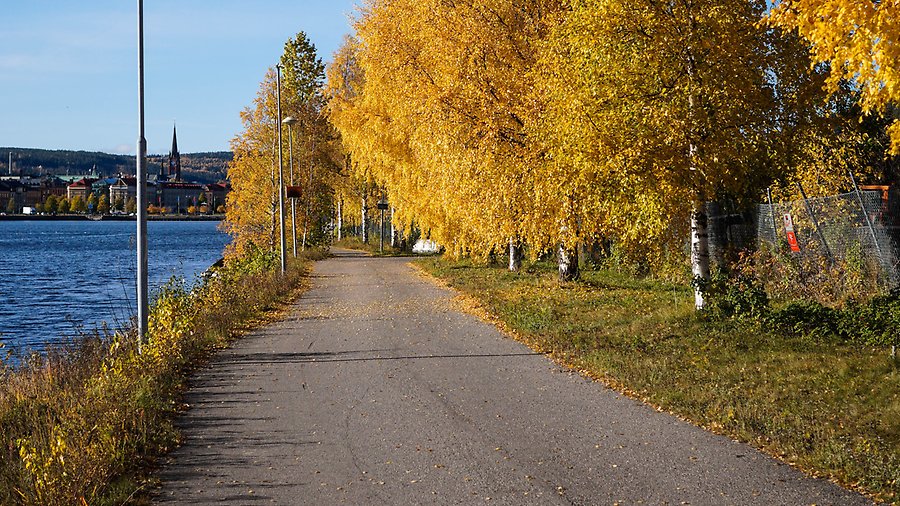 Promenad längs med vattnet i Sundsvall på hösten.