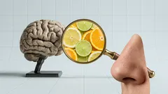 10 dofter som hjärnan känner igen direkt och vad de kan signalera