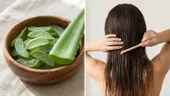 Aloe vera för håret: Vad det egentligen gör och hur man gör en hårinpackning hemma