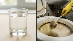 Inget har rengjorts så bra som detta: den gula toaletten blev snövit