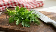 5 vårrätter som stärker immunförsvaret: Vad du bör lägga till i din kost