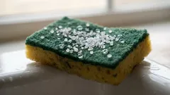 Ströde salt på en svamp – och blev jättenöjd med resultatet: ett oumbärligt hushållstips